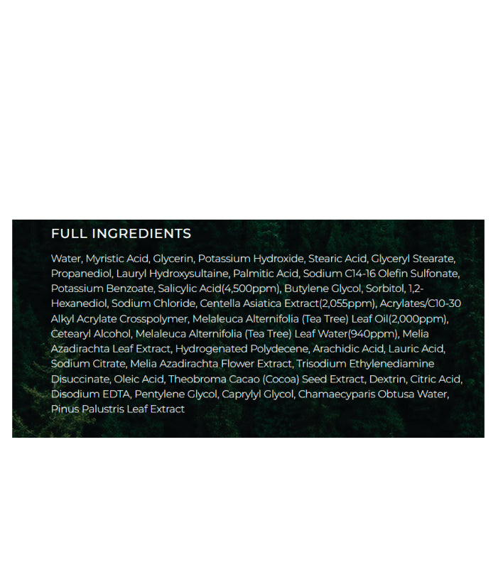 Skin1004 Centella Tea-Trica BHA Foam Acne Deep Cleansing Foam Korean Skincare 125ml / 4.22 fl. oz.