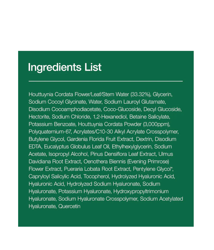 Anua Heartleaf Quercetinol Pore Deep Cleansing Foam Korean Skincare 150ml / 5.047 fl. oz.